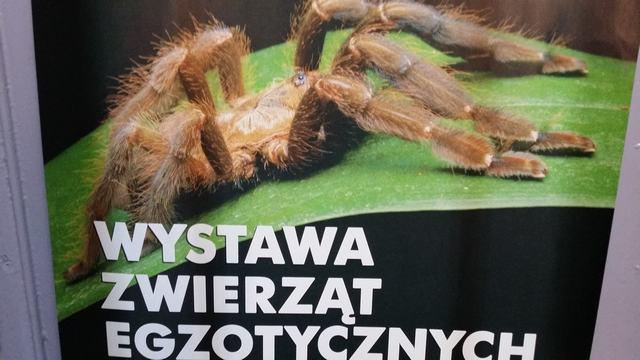 Wystawa zwierząt egzotycznych