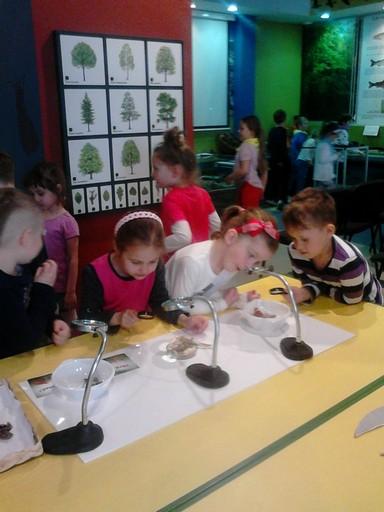 Zajęcia Edukacyjne w Muzeum Przyrodniczym Parku Krajobrazowego "Dolina Słupi"