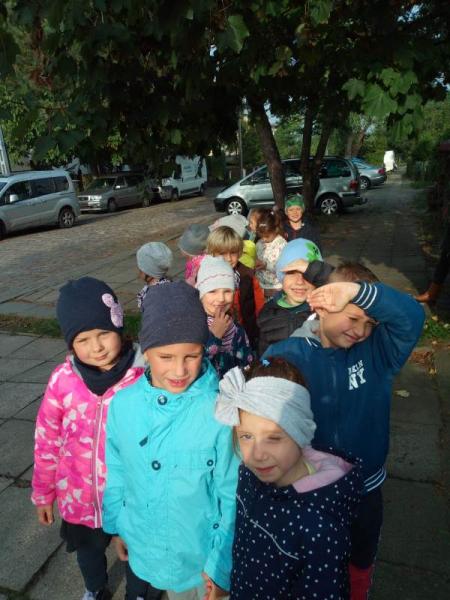 Grupa IV