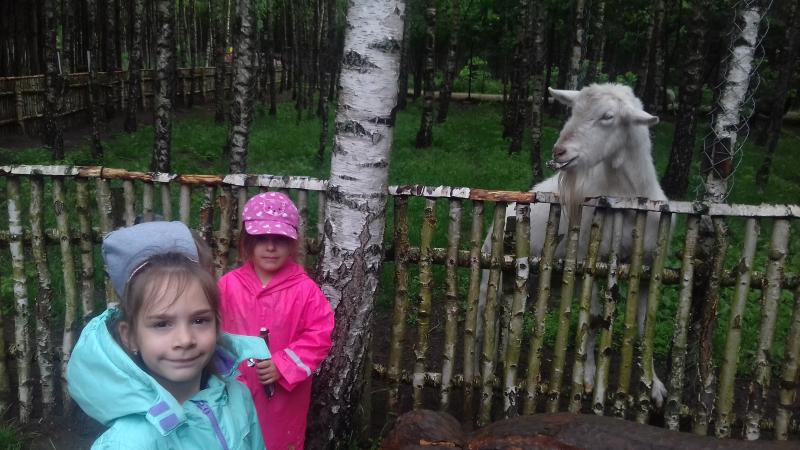 Wycieczka do Doliny Charlotty 12.06.2017 Gr II