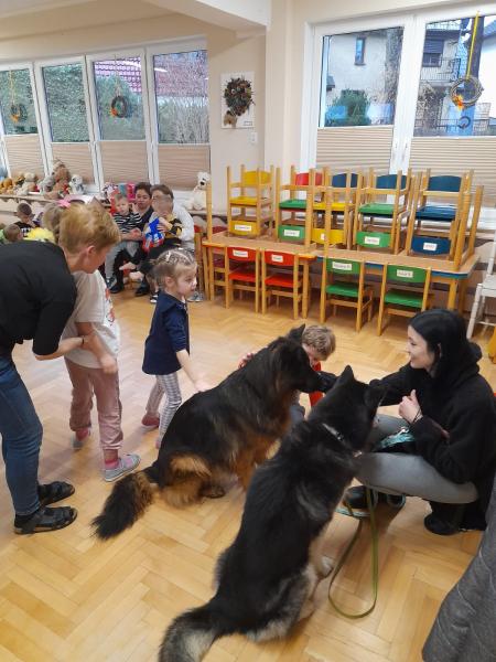 Zbiórka na rzecz Schroniska dla zwierząt