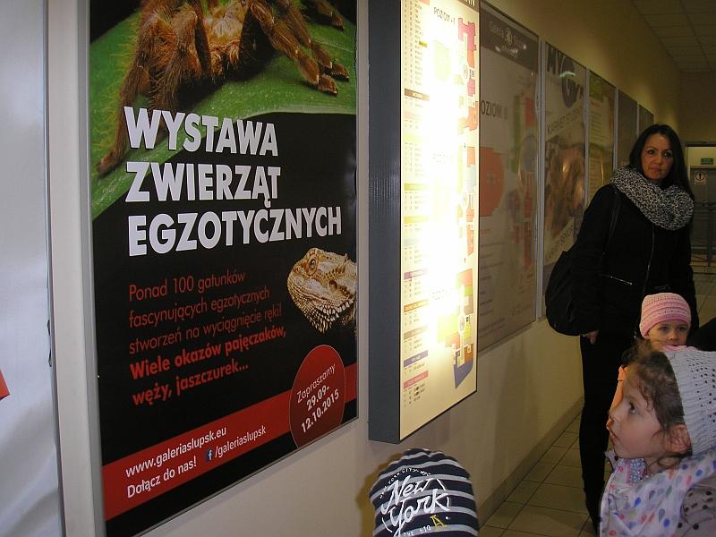 Na wystawie zwierząt egzotycznych; gr. IV; 12-10-2015