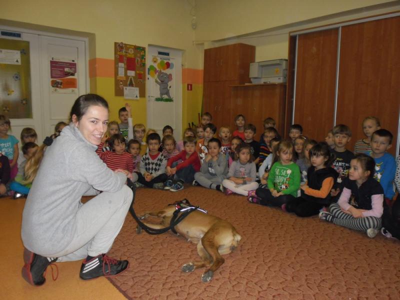 Pełna miska dla schroniska