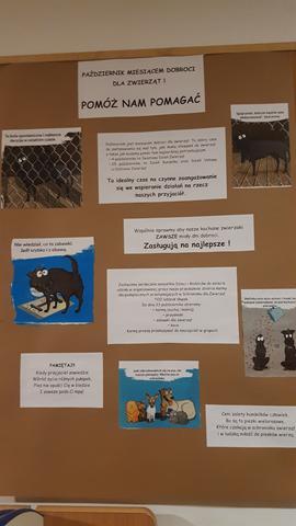 Pomóż nam pomagać - Zbiórka karmy
