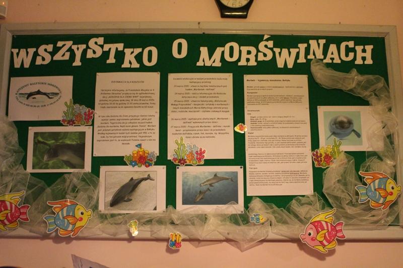 Godzina dla Morświna