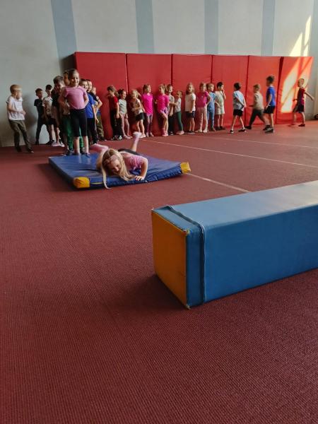 Zajęcia