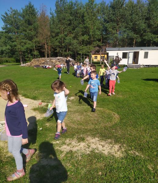 Grupa IV Kraina Pomarańczowych Lisków