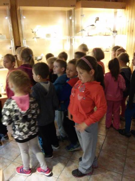 Zielone Przedszkole- Smołdziński Las