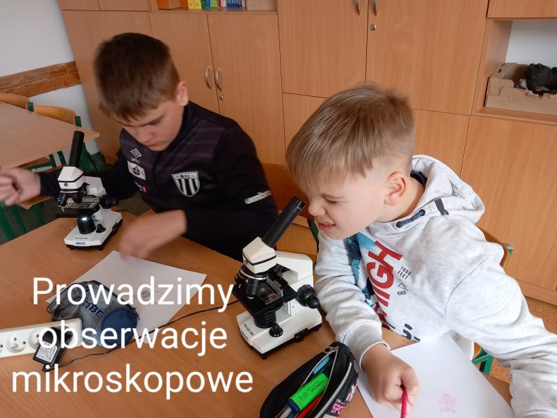 Zajęcia dla obcokrajowców z mikroskopem