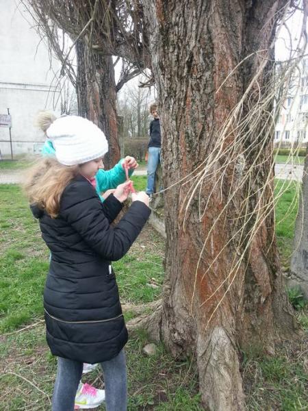 Zajęcia terenowe z przyrody kl. 5a i 5b