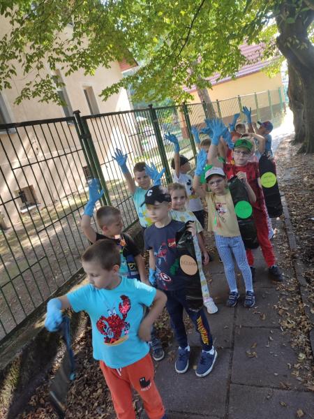 SPRZĄTANIE ŚWIATA GRUPA IV