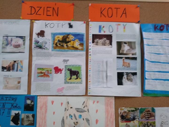 Światowy Dzień Kota