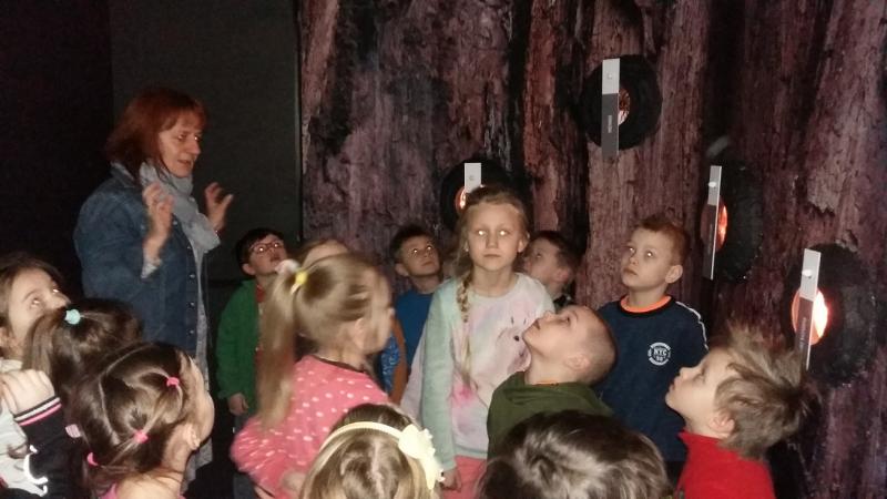 Wiosna w Dolinie Słupi