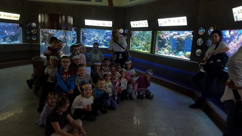 "Mieszkańcy oceanu"