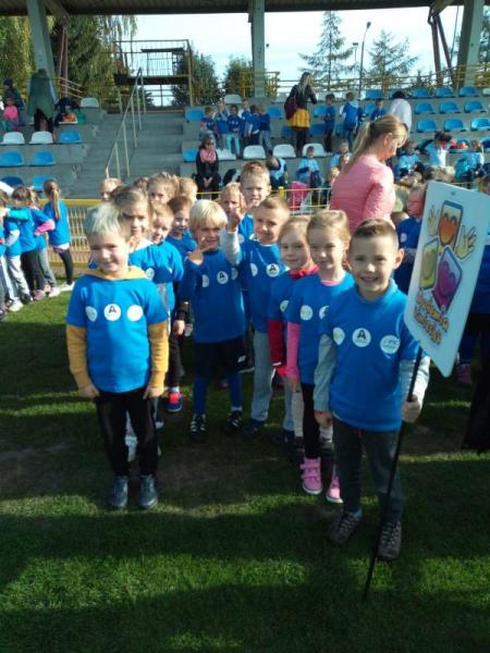 Grupa IV i V