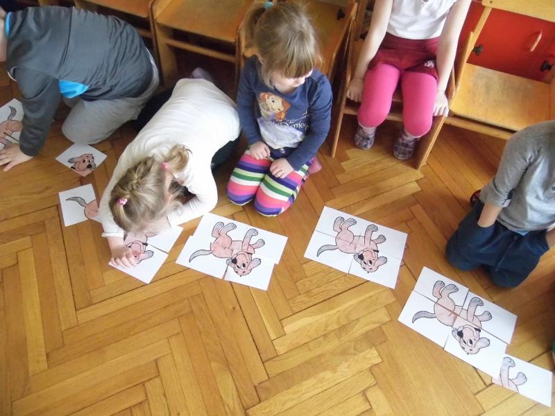 Zajęcia z Adolfem: psem rasy nowofunland - grupa II