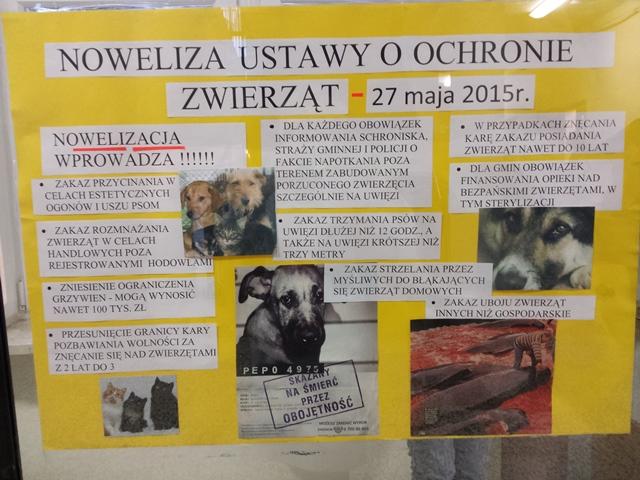 Światowy Dzień Zwierzątjest obchodzony 85 lat na świecie i kolejny raz w Gimnazjum nr 5