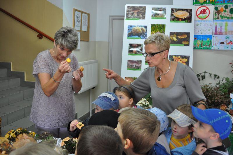 Wystawa grzybów w SANEPiD-zie: 18.09.2013
