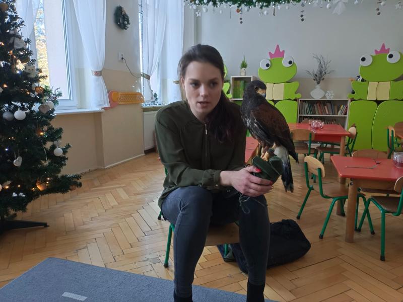 Odwiedziny sokolnika