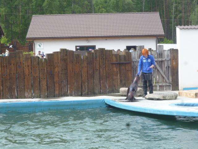 WYCIECZKA DO SEA PARKU