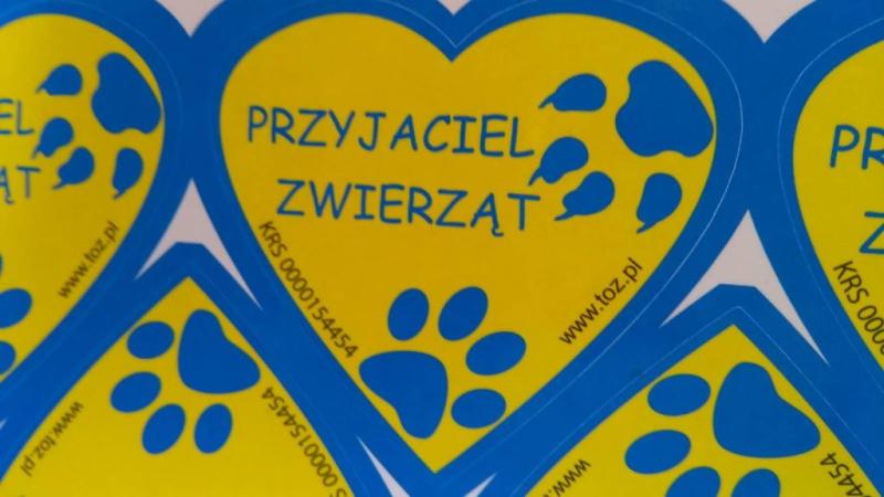 Schronisko dla Zwierząt - zbiórka karmy dla bezdomnych zwierząt