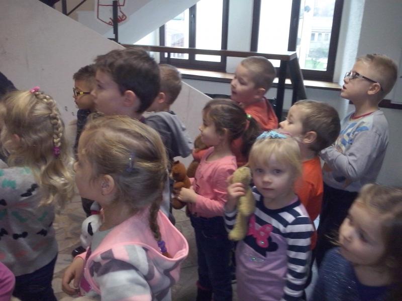 "Kotki" w bibliotece
