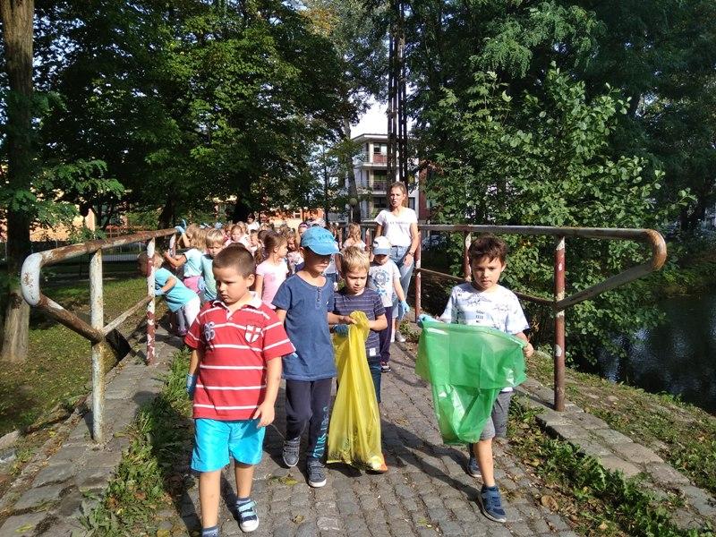 Grupa IV i V