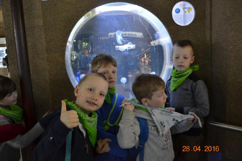 Wycieczka klas 2c i 2d z SP-6 do Oceanarium w Gdyni