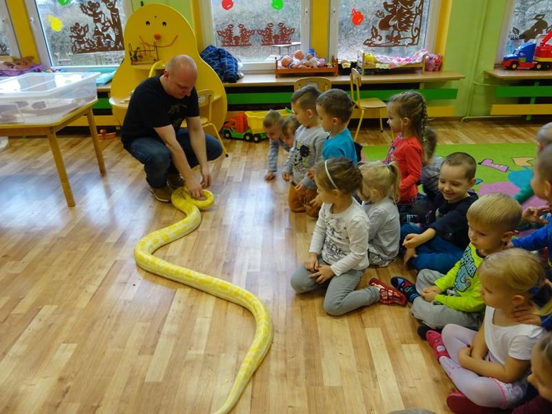 SPOTKANIE Z PAJĄKAMI,WĘŻAMI...I BALBINKĄ