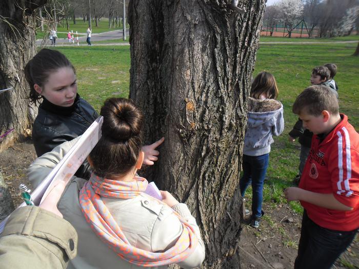 Zajęcia  w terenie z przyrody