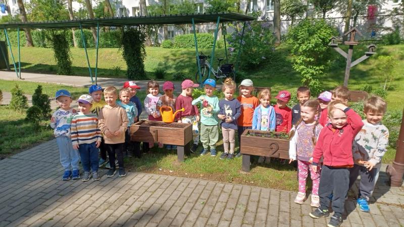 Ogródek warzywny - projekt edukacyjny Graj z nami w zielone