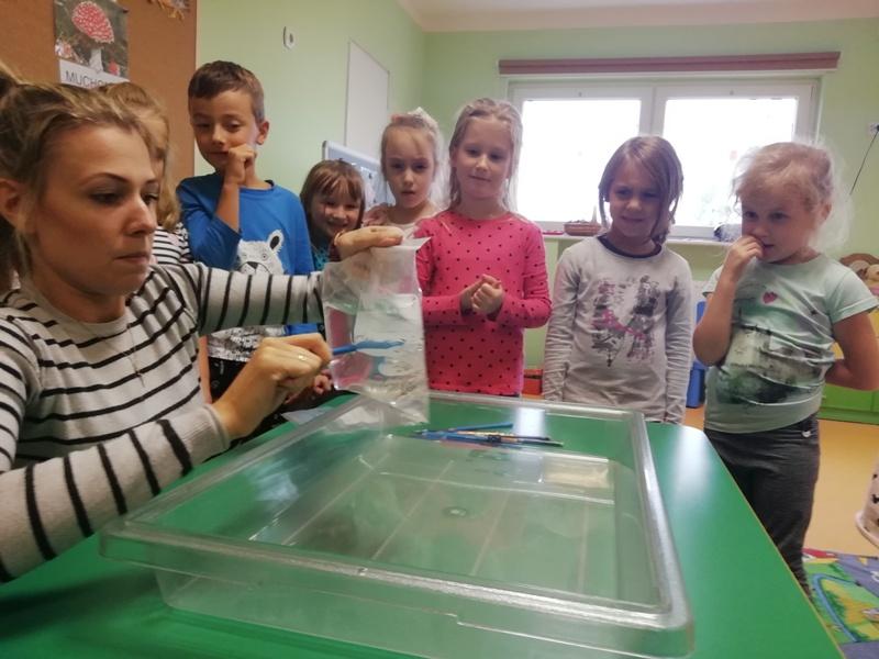 Grupa IV i V Lubimy eksperymentować z wodą :-)