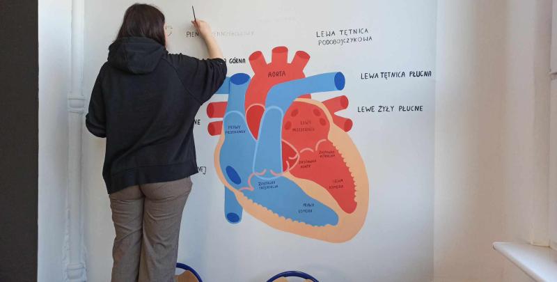wykonanie muralu serca w sali 209 budynku ZSI Słupsku