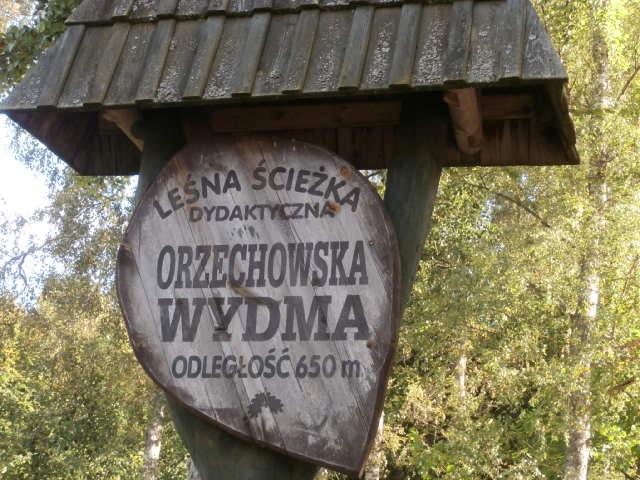 WYCIECZKA DO LASU "ORZECHOWSKA WYDMA"