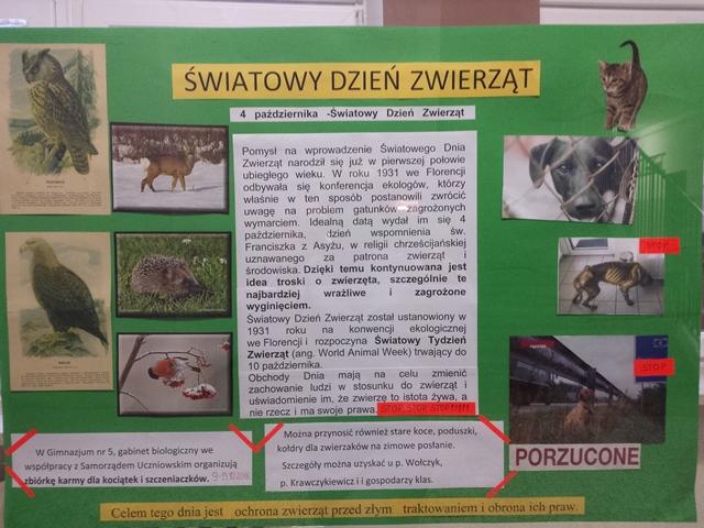 Światowy Dzień Zwierząt