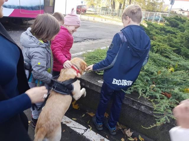 Ogólnopolska akcja edukacyjna MY NIE GRYZIEMY - udział SP-6