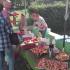 Piknik z rodzicami w grupie "Jeżyków" (galeria: 6)