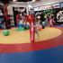 "Kotki" w Kuźni Sportu (galeria: 11)
