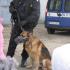 Wycieczka do budynku Komendy Miejskiej Policji w Słupsku