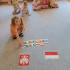 Patriotyzm w naszym przedszkolu (galeria: 7)