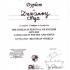 The Koszalin Festival of English LIPS (galeria: 3)