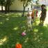Parada Kapeluszowa; gr. IV; 03-06-2016 (galeria: 18)