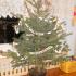 Łańcuch na choinkę: gr. III; 11.12.2013 (galeria: 9)