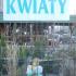 Pożegnanie zimy, przywitanie wiosny: gr.III; 21.03.2014 (galeria: 22)