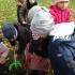 ,,Słoneczka''sadzą drzewko (galeria: 7)