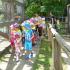 Wycieczka do "Leśnego Kota": gr. III; 10.06.2014 (galeria: 12)