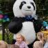 Dni Bezpiecznego Przedszkola - strażacy i MIŚ PANDA (galeria: 6)