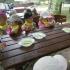 ,,Motylki''w Dolinie Charlotty (galeria: 31)