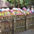 ,,Motylki'' w Dolinie Charlotty (galeria: 13)