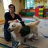 Pies Dogoterapeuta (galeria: 6)